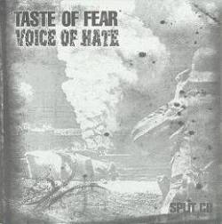 Taste Of Fear : Taste Of Fear-Voice Of Hate